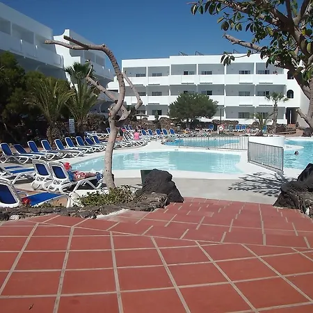 Ficus * Costa Teguise