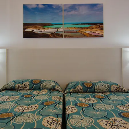 Ficus Apartment